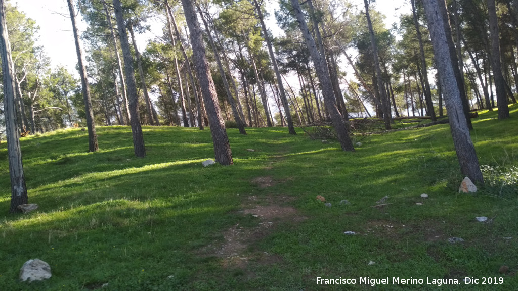 Parque Periurbano de Santa Catalina, Neveral, Imora - Parque Periurbano de Santa Catalina, Neveral, Imora. Ladera norte del Cerro de Santa Catalina