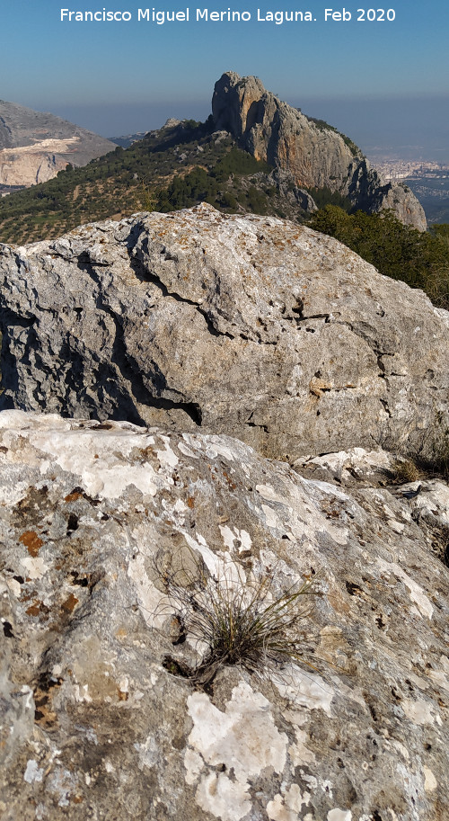 Pe�as de Castro - Pe�as de Castro. Vistas hacia el norte desde la cumbre sur