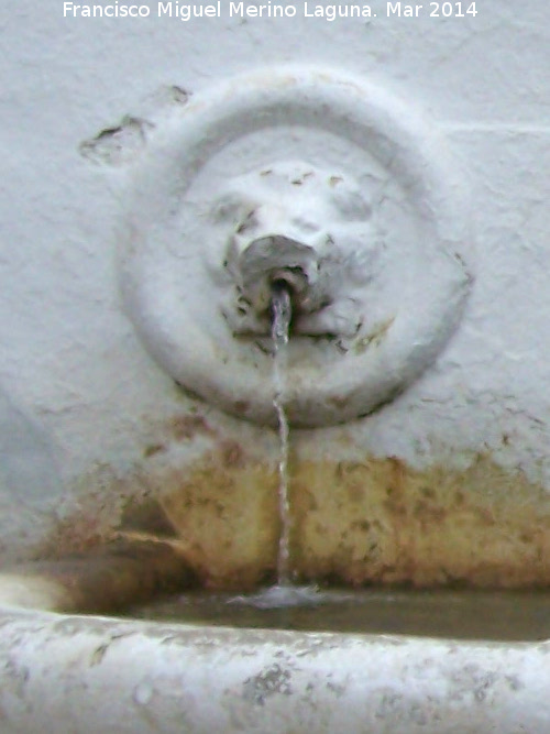Fuente de los Leones - Fuente de los Leones. Ca�o
