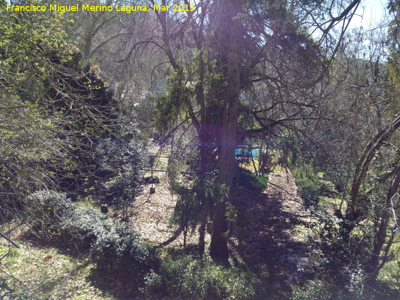 Jardines de Mata Bejid - Jardines de Mata Bejid. 