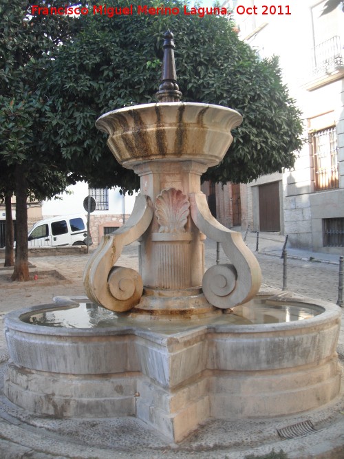 Fuente de San Bartolom� - Fuente de San Bartolom�. 