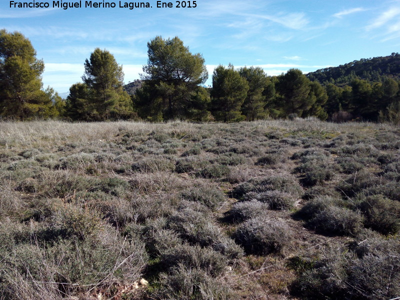 Cuevas Piquita - Cuevas Piquita. Llano donde se encontrar�an los corrales