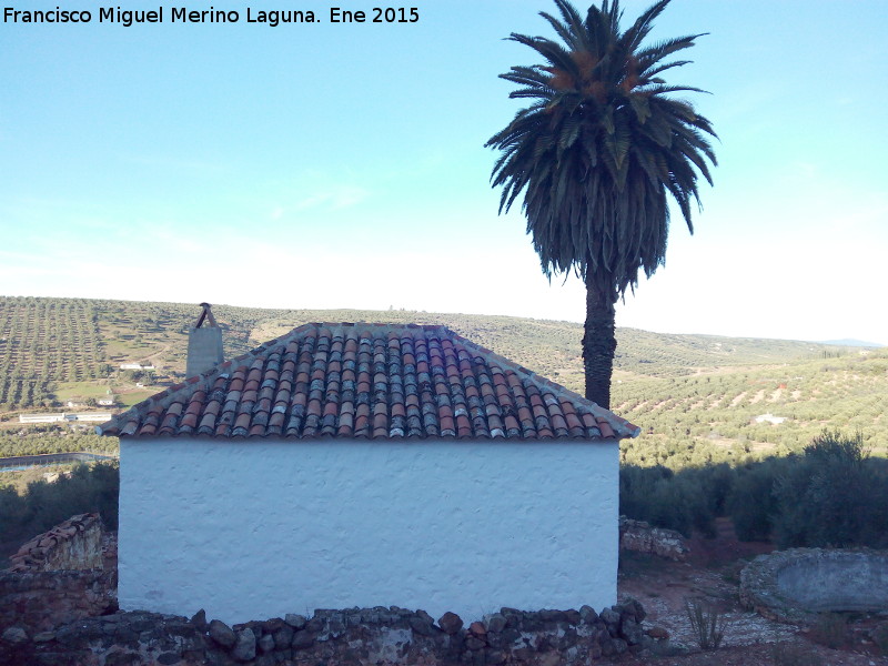 Cortijo Azp�roz - Cortijo Azp�roz. Cortijo con su palmera