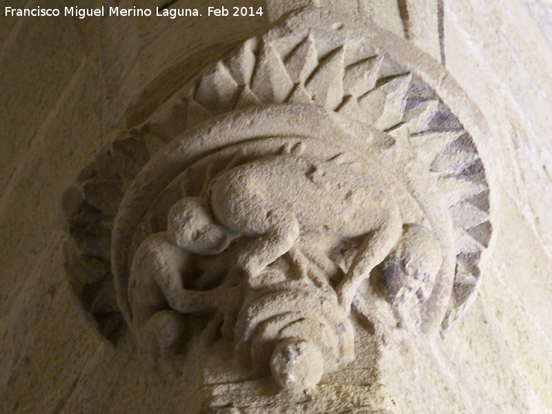 Colegiata de Santa Mar�a de los Reales Alc�zares. Claustro - Colegiata de Santa Mar�a de los Reales Alc�zares. Claustro. M�nsula de lameculos