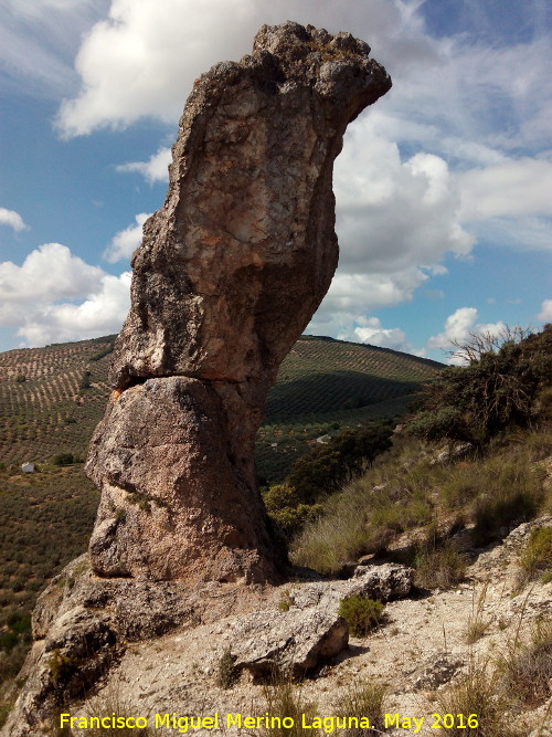 Piedra Virgen del Camello - Piedra Virgen del Camello. 