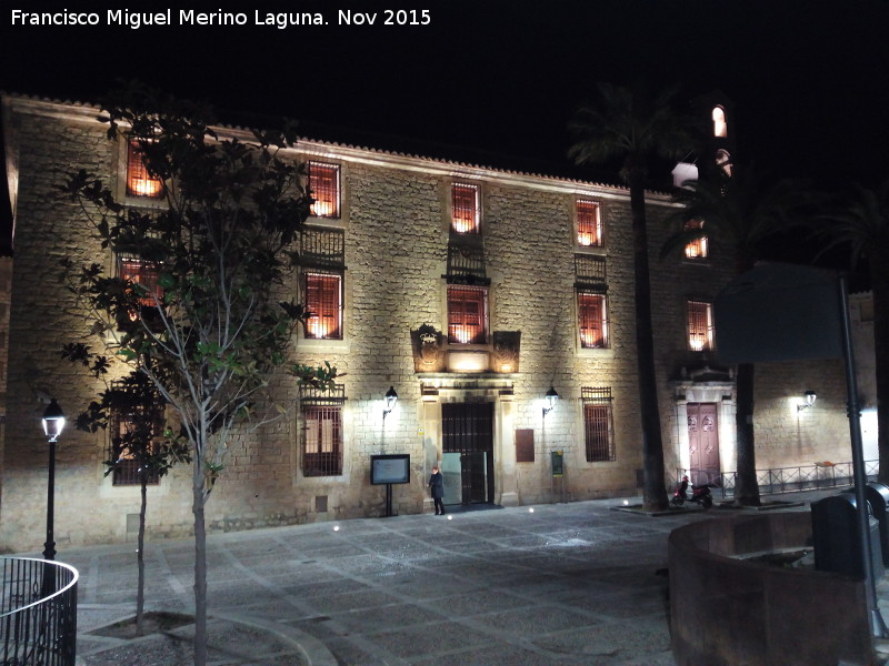 Palacio de Villardompardo - Palacio de Villardompardo. Iluminacin nocturna