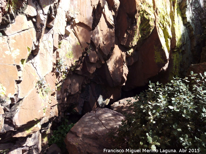 Pinturas rupestres del Abrigo Peque�o de la Cueva del Santo - Pinturas rupestres del Abrigo Peque�o de la Cueva del Santo. Abrigo