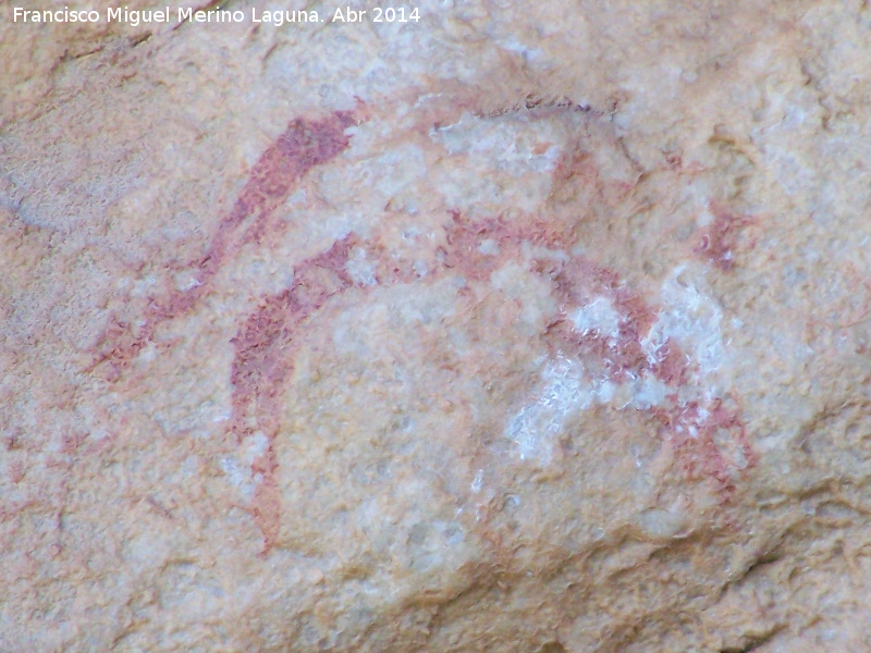 Pinturas rupestres de la Pe�a Escrita. Grupo I - Pinturas rupestres de la Pe�a Escrita. Grupo I. Semic�rculos, posible cornamenta de un macho cabr�o