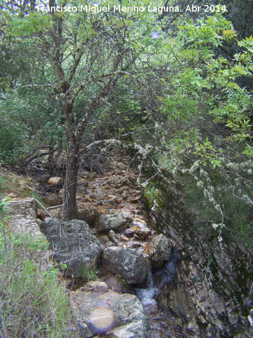 Arroyo de Pea Escrita - Arroyo de Pea Escrita. 