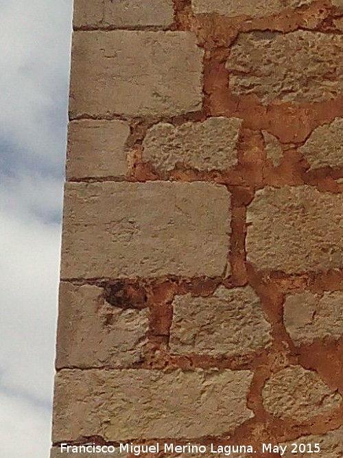 Castillo Nuevo de Santa Catalina. Marcas de cantero - Castillo Nuevo de Santa Catalina. Marcas de cantero. Estrella mud�jar VI de las Troneras
