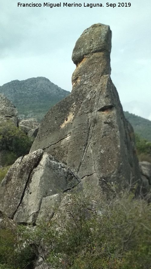 Cerro de la Condesa - Cerro de la Condesa. 