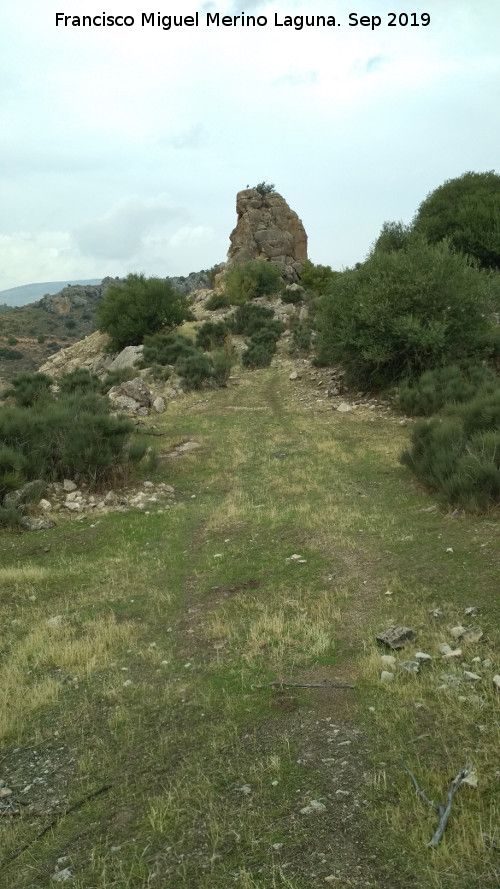 Cerro de la Condesa - Cerro de la Condesa. 