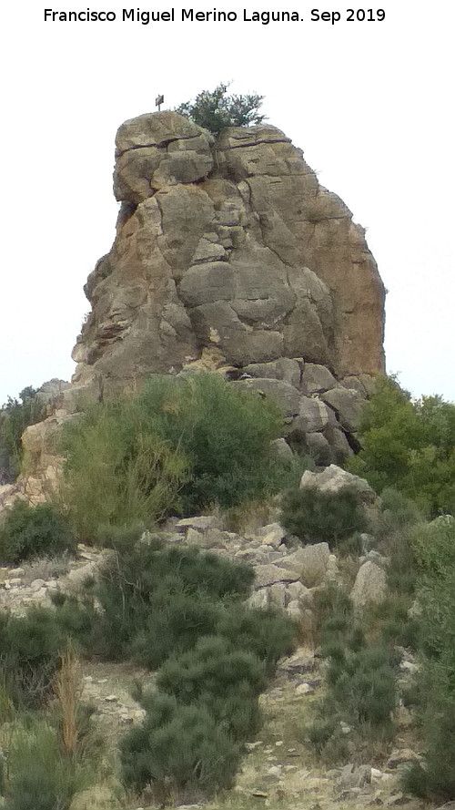 Cerro de la Condesa - Cerro de la Condesa. 