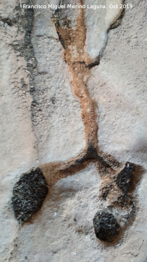 Pinturas rupestres del Abrigo de los Caones IV - Pinturas rupestres del Abrigo de los Caones IV. Cazoletas