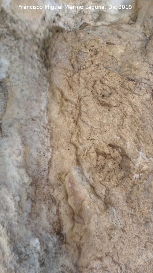 Pinturas rupestres del Abrigo de los Ca�ones IV - Pinturas rupestres del Abrigo de los Ca�ones IV. Panel