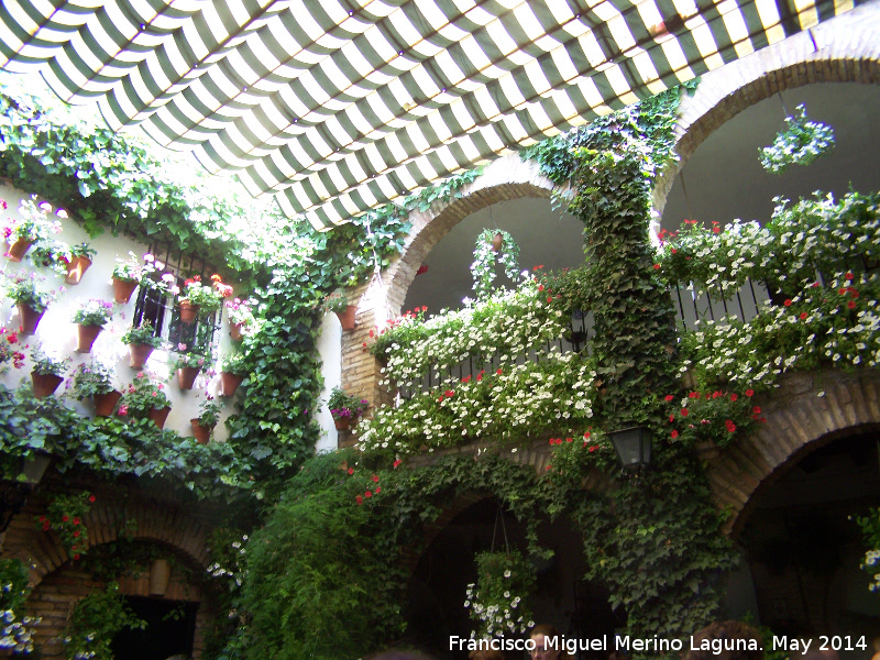 Casa de la Calle Agust�n Moreno n� 43 - Casa de la Calle Agust�n Moreno n� 43. Patio