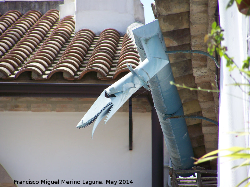 Casa de la Calle Aceite n� 4 - Casa de la Calle Aceite n� 4. Canal�n