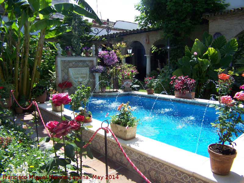 Casa de la Calle Aceite n� 8 - Casa de la Calle Aceite n� 8. Fuente principal