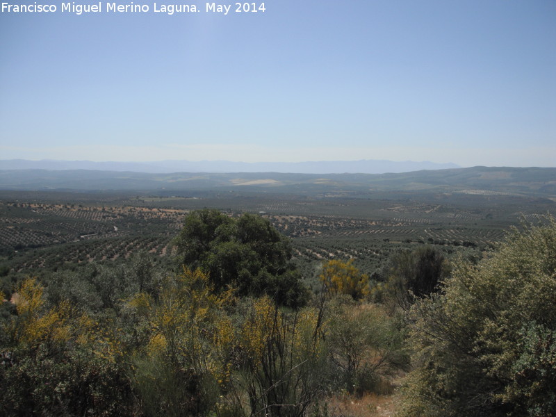 Camino de las Atalayuelas - Camino de las Atalayuelas. Vistas