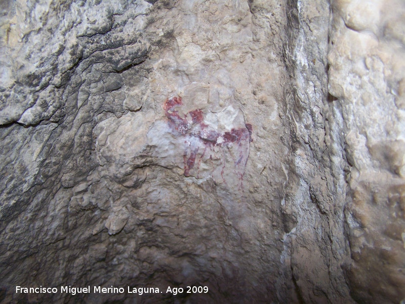 Pinturas rupestres del Poyo Bernab� Grupo II - Pinturas rupestres del Poyo Bernab� Grupo II. Cabra en solitario en una pared c�ncava con multitud de l�neas que parten de su vientre