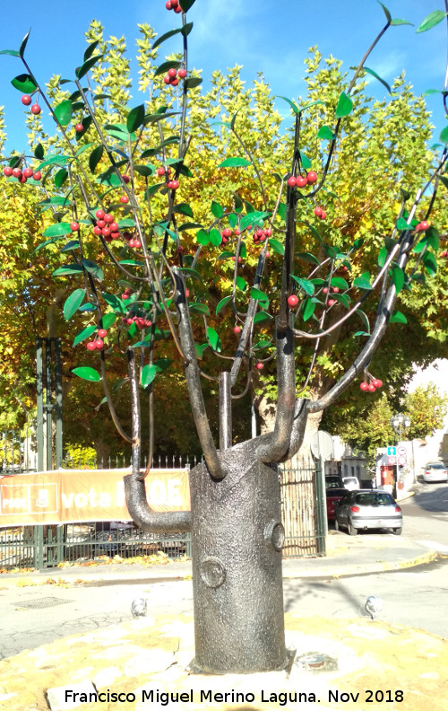 Rotonda del Paseo - Rotonda del Paseo. Escultura del cerezo