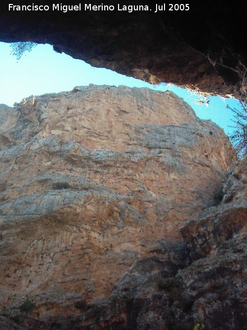 Cueva de los Ca�ones - Cueva de los Ca�ones. 