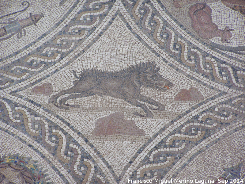Cstulo. Mosaico de los Amores - Cstulo. Mosaico de los Amores. Jabal