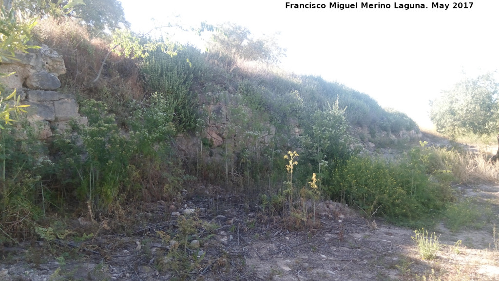 Cerro Alcal� - Cerro Alcal�. 