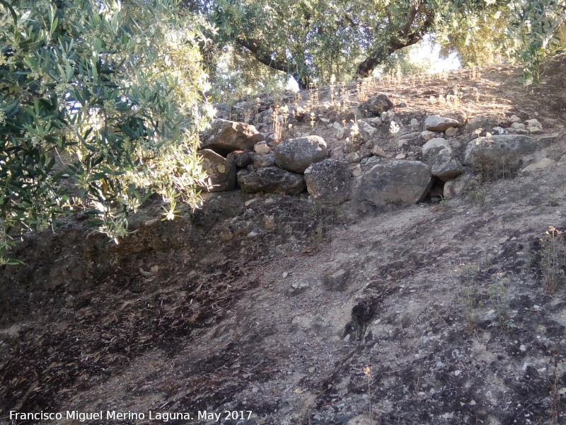 Cerro Alcal� - Cerro Alcal�. 