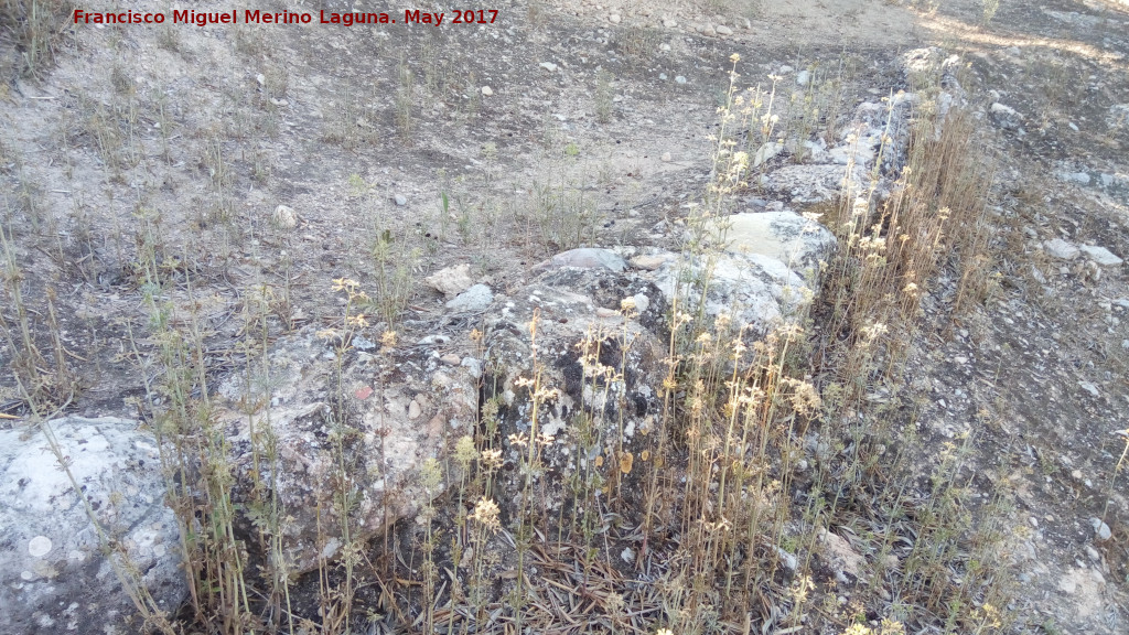 Cerro Alcal� - Cerro Alcal�. 