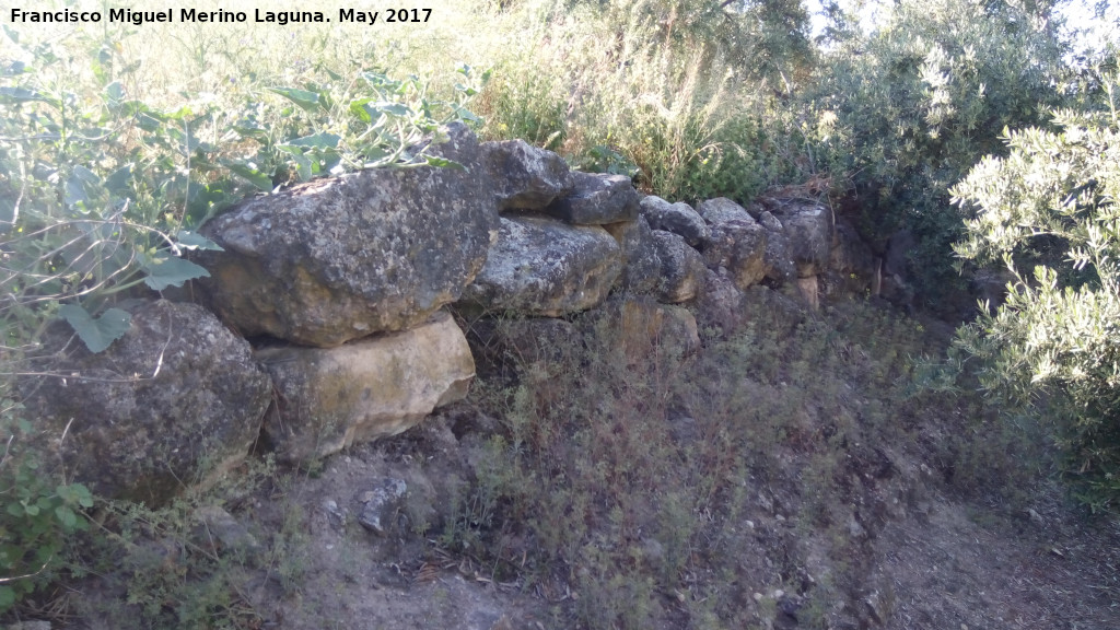 Cerro Alcal� - Cerro Alcal�. 