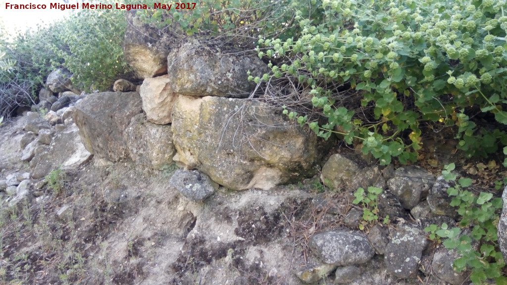 Cerro Alcal� - Cerro Alcal�. 