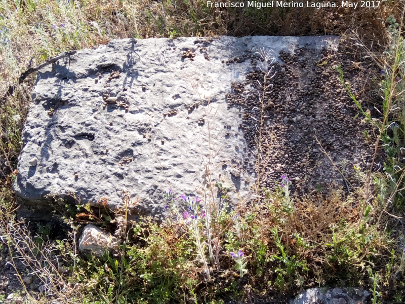 Cerro Alcal� - Cerro Alcal�. 