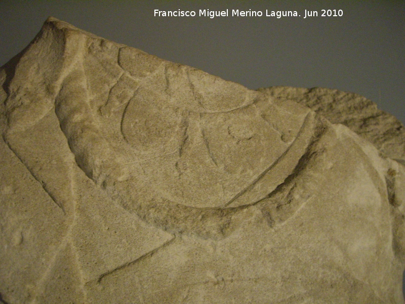 Cerro Alcal� - Cerro Alcal�. Dama de Torres. En caliza. Restos de rojo en la espalda. Con tres collares. Museo Arqueol�gico Provincial de Ja�n