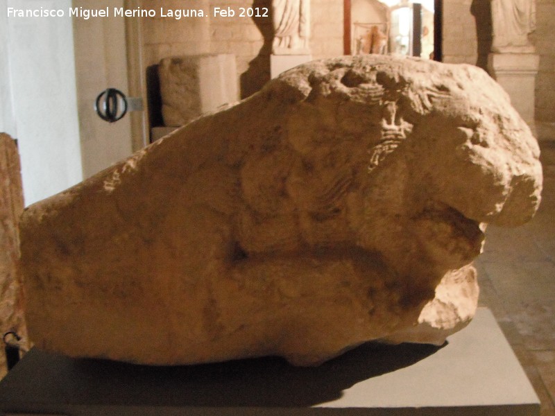 Cerro Alcal� - Cerro Alcal�. Le�n siglo I a.C. Museo Arqueol�gico Provincial de Ja�n