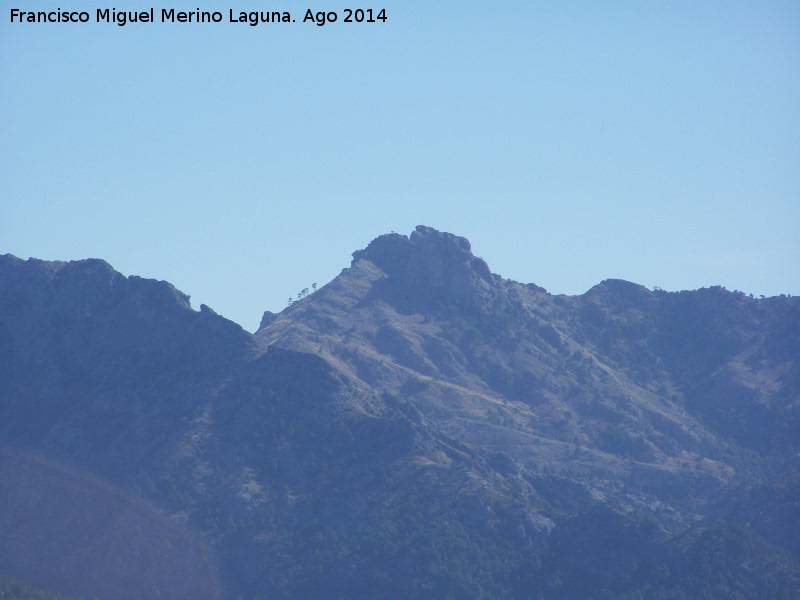 Cerro de Ojillo de Mares - Cerro de Ojillo de Mares. 
