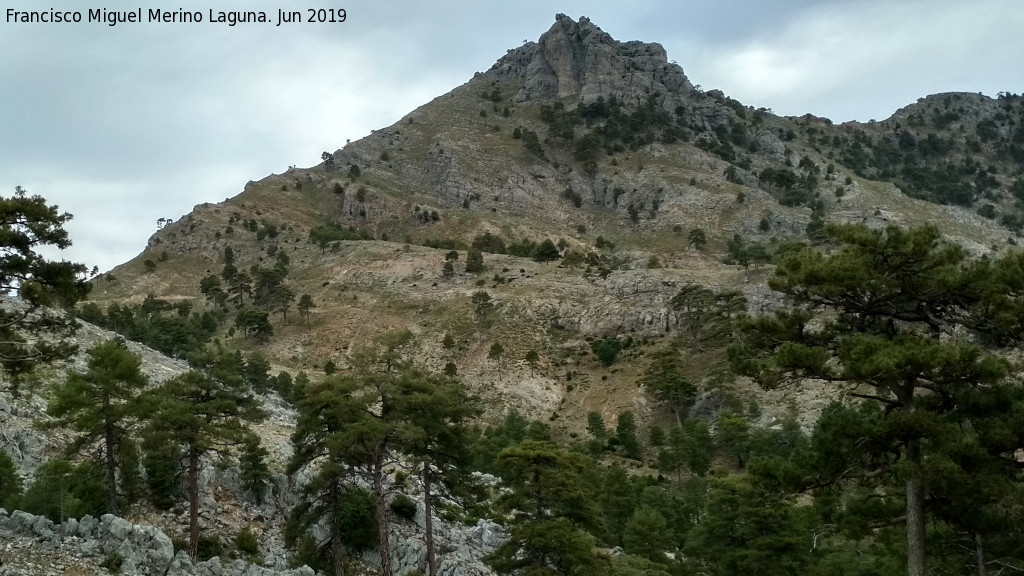 Cerro de Ojillo de Mares - Cerro de Ojillo de Mares. 
