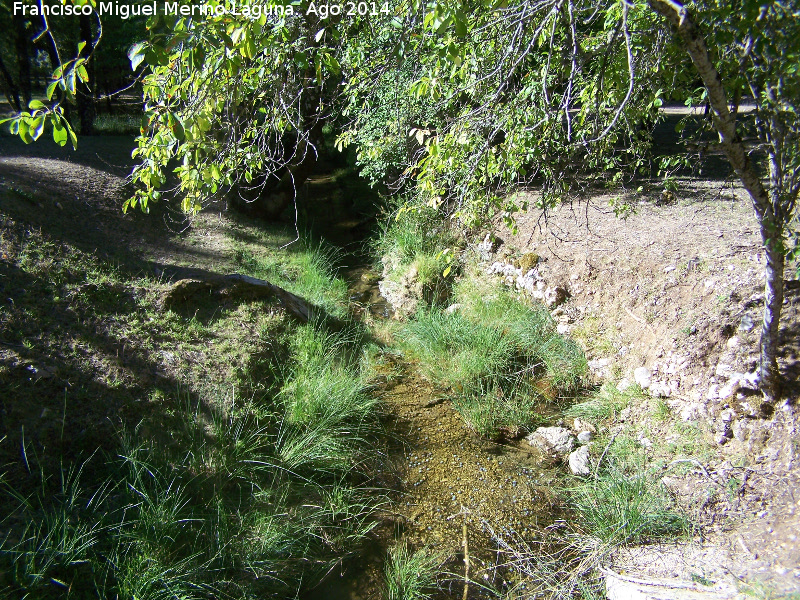 Arroyo del Raso de la Honguera - Arroyo del Raso de la Honguera. 