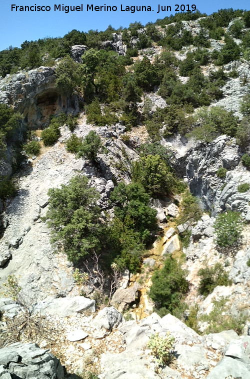 Arroyo del Raso de la Honguera - Arroyo del Raso de la Honguera. Curso alto
