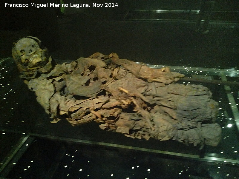 Museo Arqueol�gico de Tenerife - Museo Arqueol�gico de Tenerife. Momia Guanche