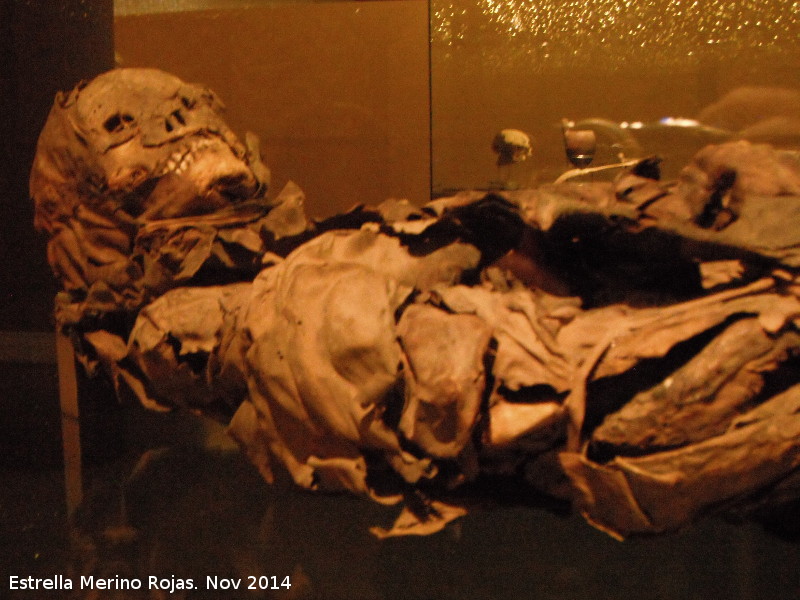 Museo Arqueol�gico de Tenerife - Museo Arqueol�gico de Tenerife. Momia Guanche