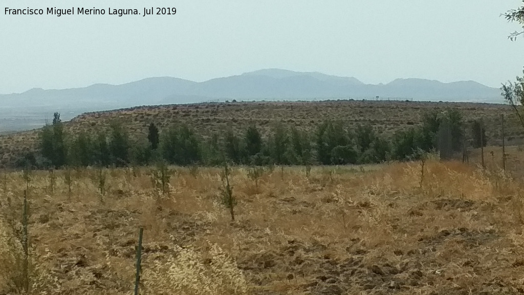 Ciudad Iberorromana de Basti - Ciudad Iberorromana de Basti. Desde la Necr�polis del Cerro del Santuario