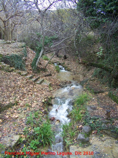 R�o Fr�o - R�o Fr�o. En su nacimiento