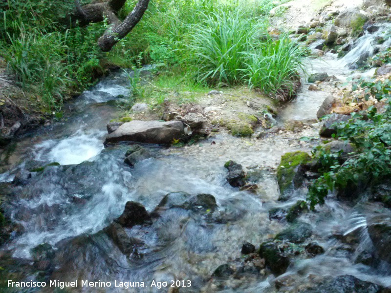 R�o Fr�o - R�o Fr�o. 