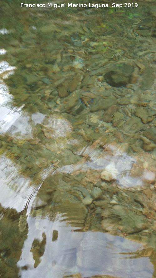 R�o Fr�o - R�o Fr�o. Transparencia de sus aguas