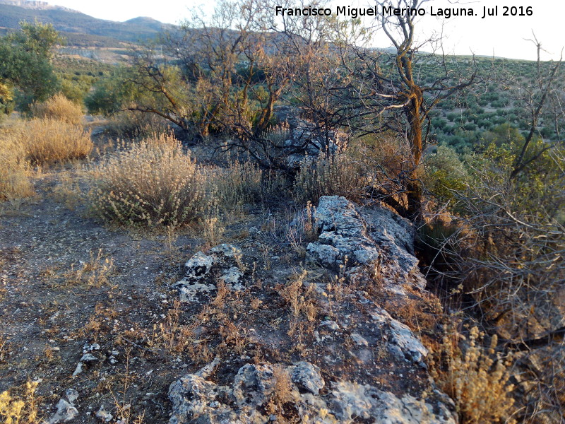 Caser�a del Charco - Caser�a del Charco. L�nea de muralla