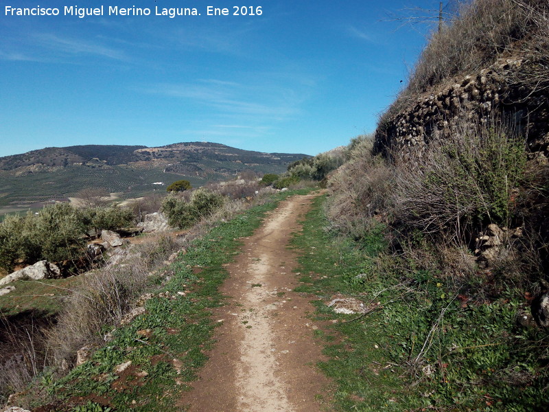 Camino de Cort�s - Camino de Cort�s. 