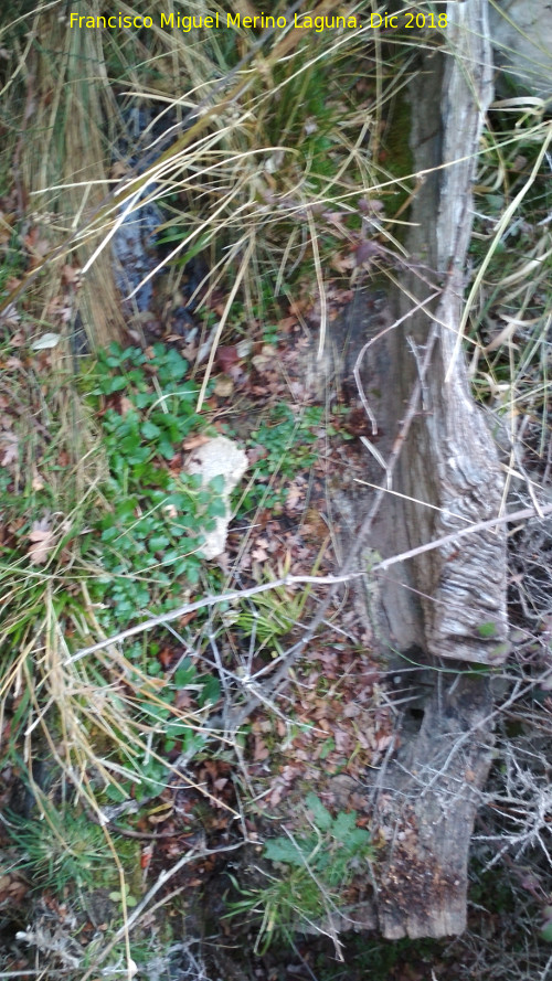 Pilar de los Prados - Pilar de los Prados. �Restos de tornajo?