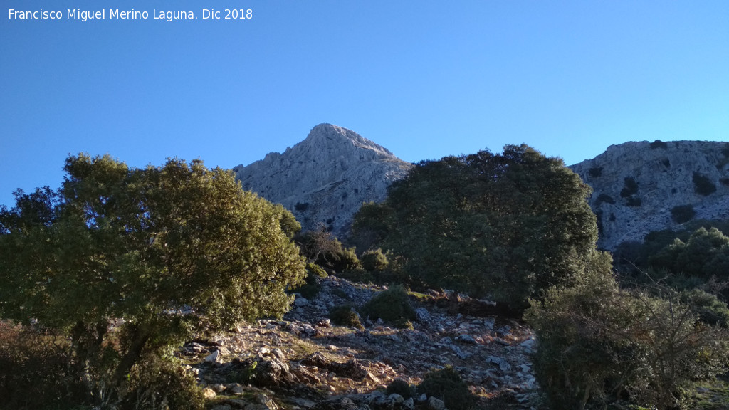 Pe�a Ja�n - Pe�a Ja�n. Desde la Fuente de la Puta