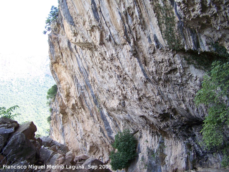 El Covarr�n - El Covarr�n. 